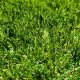 Gazon Synthétique 45mm - 2Mx18M soit 36m²