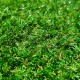 Gazon 22mm ecoexterieur