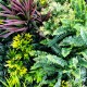 Ensemble de 5 Panneaux Végétaux Tropic - Détails des feuilles