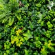 vegetalchic mur vegetal artificiel design detail du feuillage