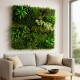 Faux mur Prairie Color, intérieur, végétal coloré, prix/m²