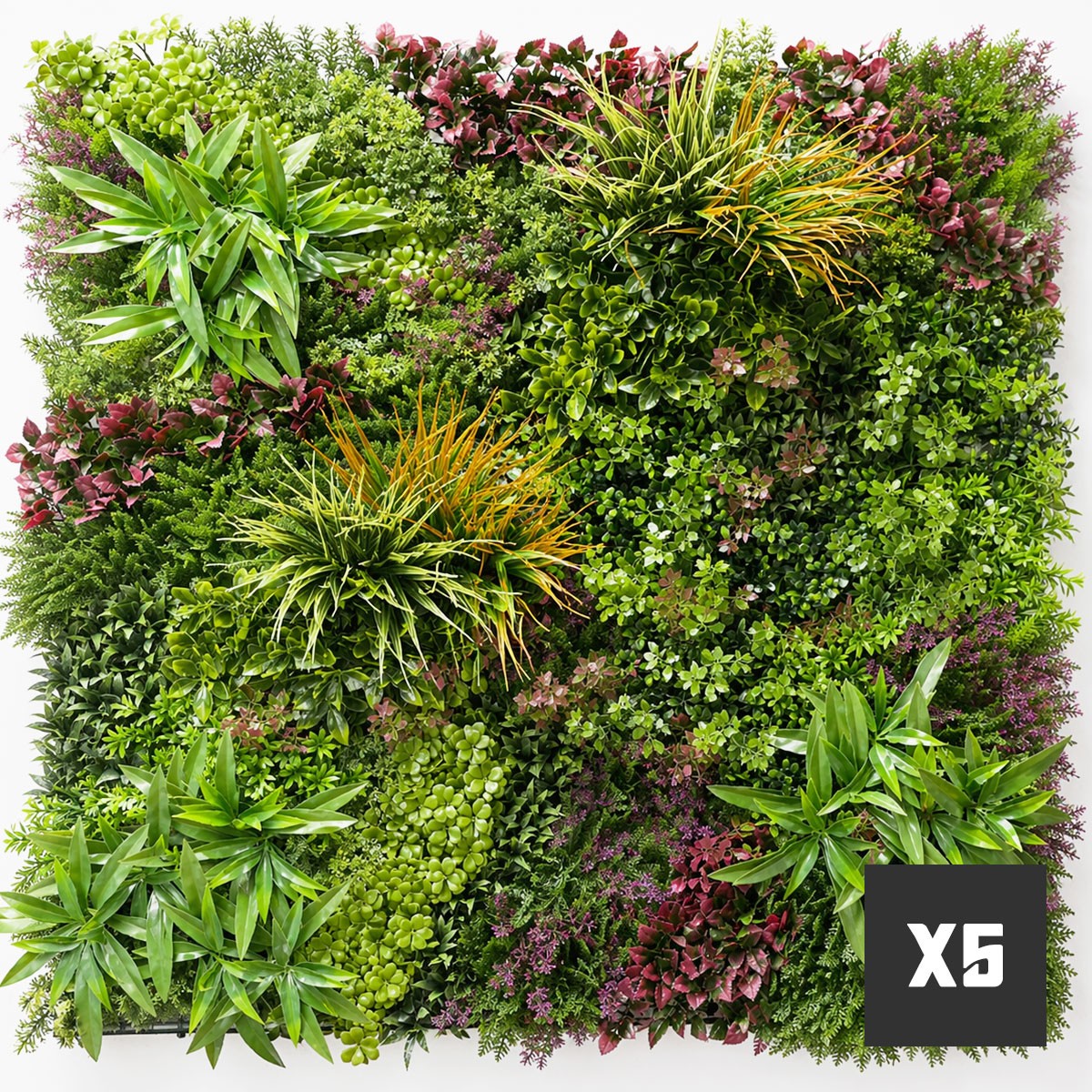 Lot de cinq panneaux Wood Colors couvrant 5 m²