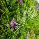 mur vegetal artificiel brise vue