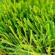 Détail des brins droits et frisés du Very Chic 35 mm, 36 m²