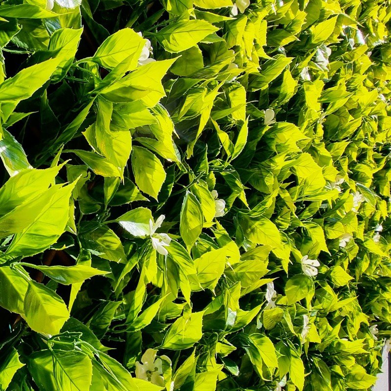 Treillis Extensible En Pin Pour Plantes Grimpantes - 3 Tailles (jusqu'à 180x25 Cm), Clôture Décorative Jardin - 6