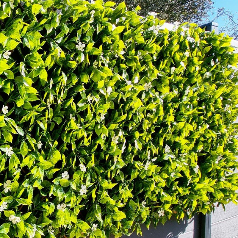 Treillis Bois Jardin Extensible Fleur de Jasmin