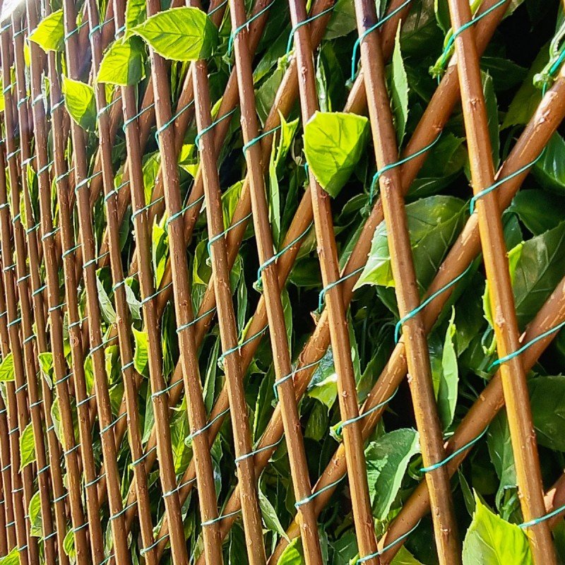 Treillis Bois Jardin Extensible Fleur de Jasmin