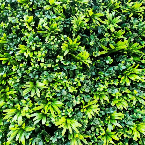 Mur Végétal Artificiel Verdure