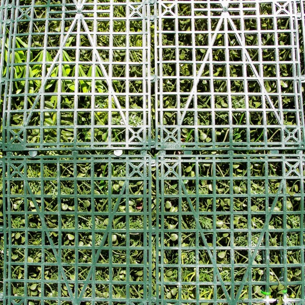 Mur Végétal Artificiel Tropic