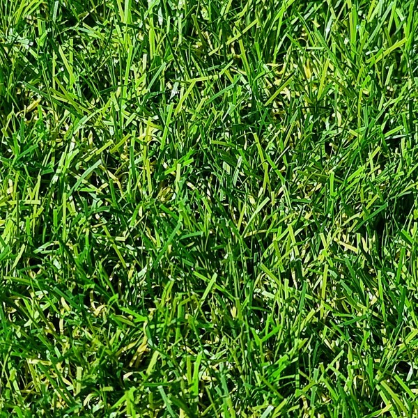 Gazon Synthétique 40mm - 2Mx15M soit 30m²