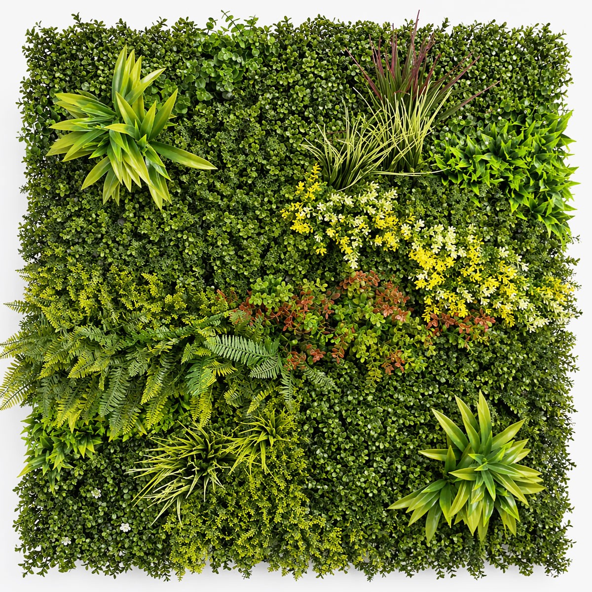 Panneau mural végétal artificiel Prairie Color de 1 m²