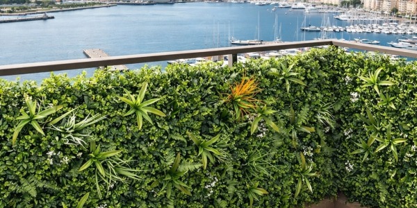 Mur Végétal Artificiel Var : La Solution Canicule et Sécheresse