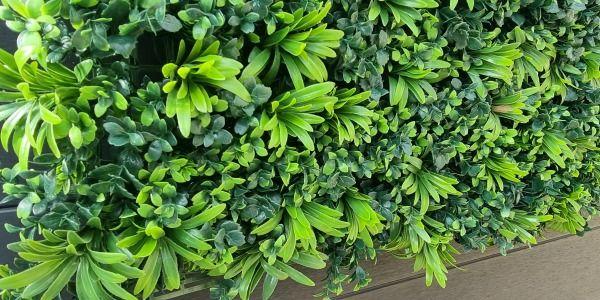 Les avantages des murs végétaux artificiels