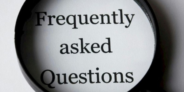 Mur Végétal Artificiel : 10 Questions Fréquentes et Réponses Claires